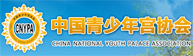 中國青少年宮協會